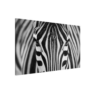 Tablica magnetyczna - Zebra Look
