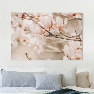 Obraz na płótnie - Gałązki magnolii w stylu vintage
