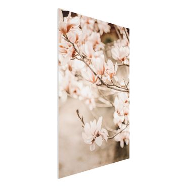 Obraz Forex - Gałązki magnolii w stylu vintage
