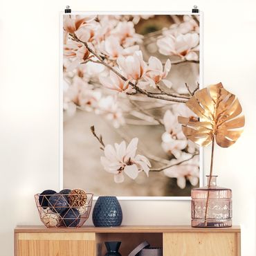 Plakat - Gałązki magnolii w stylu vintage