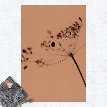 Mata korkowa - Makro ujęcie suszonego kwiatu w cieniu