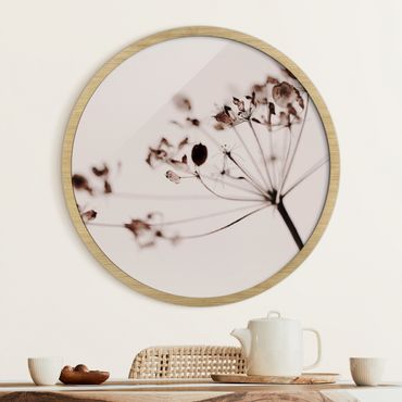 Okrągły obraz w ramie - Macro Image Dried Flowers In Shadow