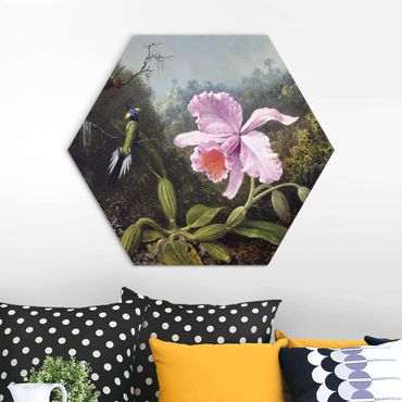 Obraz heksagonalny Alu-Dibond - Martin Johnson Heade - Still Life With An Orchid And A Pair Of Hummingbirds