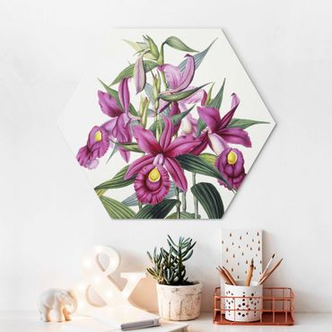 Obraz heksagonalny Alu-Dibond - Maxim Gauci – Orchid I