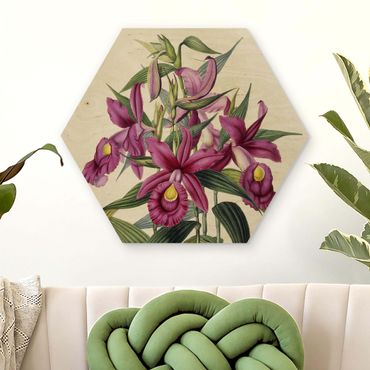 Obraz heksagonalny z drewna - Maxim Gauci – Orchid I