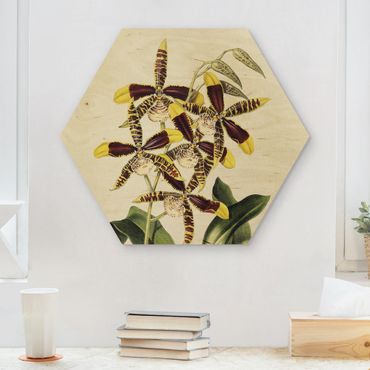 Obraz heksagonalny z drewna - Maxim Gauci – Orchid II