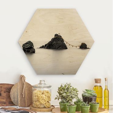 Obraz heksagonalny z drewna - Meoto Iwa - Skały małżeńskie