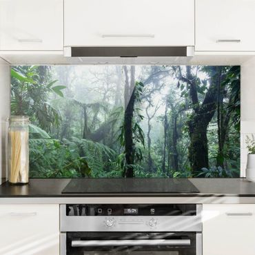 Panel szklany do kuchni - Las chmur Monteverde