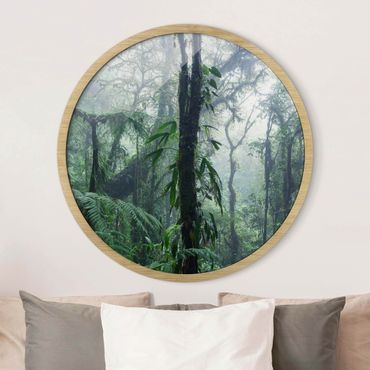 Okrągły obraz w ramie - Monteverde Cloud Forest