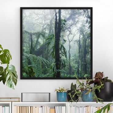 Plakat w ramie - Las chmur Monteverde