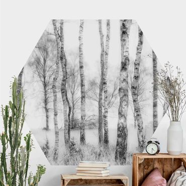 Sześciokątna tapeta samoprzylepna - Mistyczny las brzozowy czarno-biały