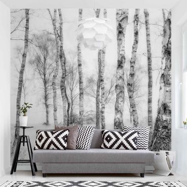 Fototapeta - Mistyczny las brzozowy czarno-biały