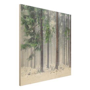 Obraz z drewna - Drzewa iglaste zimą
