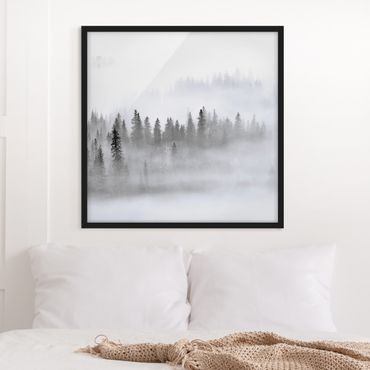 Plakat w ramie - Mgła w Puszczy Jodłowej Czarno-biała