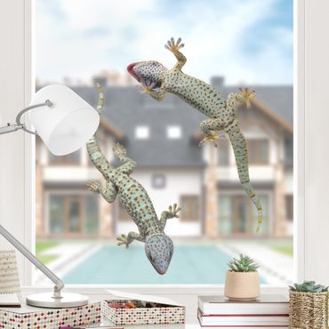 Naklejka na okno - Ciekawe gekony