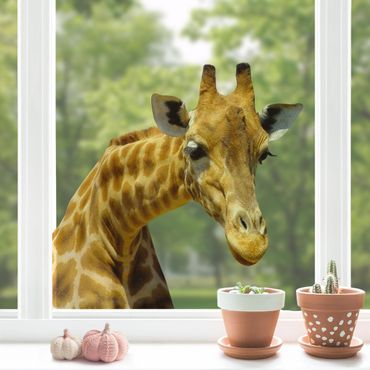 Naklejka na okno - Ciekawska żyrafa
