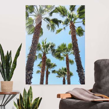 Obraz na szkle - Palm Trees At Venice Beach