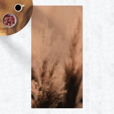 Mata korkowa - Trawa pampasowa w cieniu