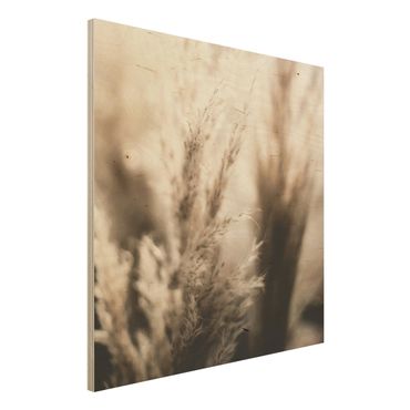 Obraz z drewna - Trawa pampasowa w cieniu