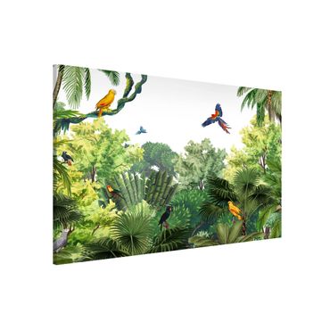 Tablica magnetyczna - Parada papug w dżungli