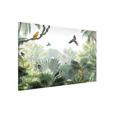 Tablica magnetyczna - Parada papug w łagodnej dżungli