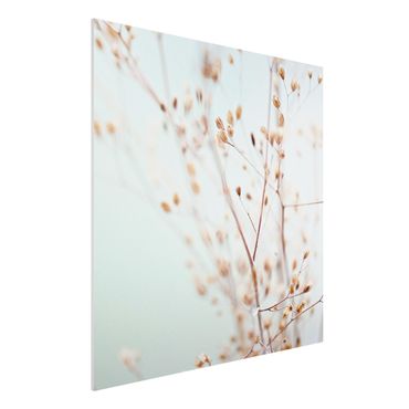 Obraz Forex - Pąki pastelowe na gałązce polnych kwiatów