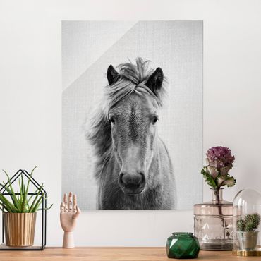 Obraz na szkle - Horse Pauline Black And White