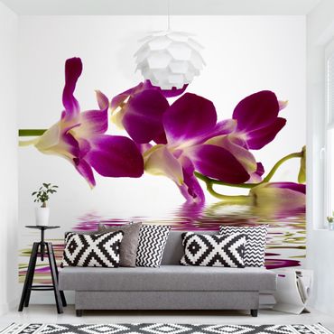 Fototapeta - Wody różowej orchidei
