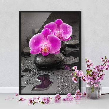Plakat w ramie - Kwiaty różowej orchidei na kamieniach z kroplami