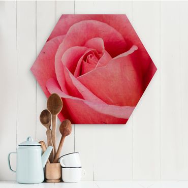 Obraz heksagonalny z drewna - Pink Rose Flowers Green Backdrop