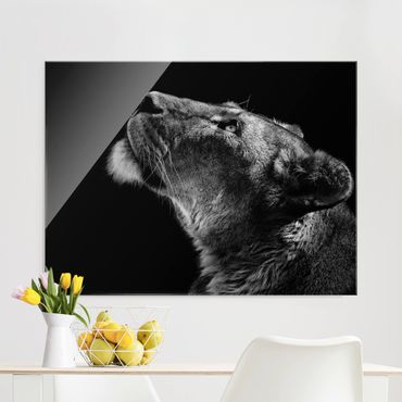 Obraz na szkle - Portret lwicy