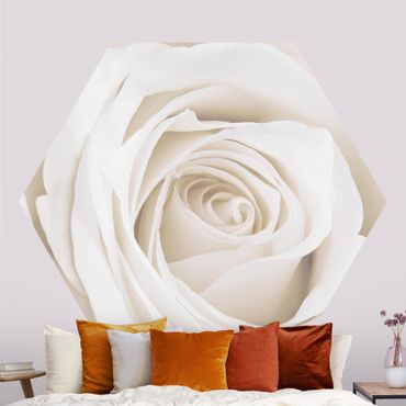 Sześciokątna tapeta samoprzylepna - Piękna biała róża