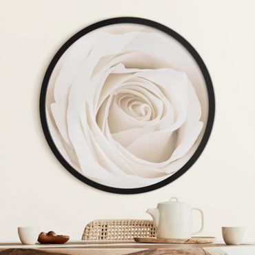 Okrągły obraz w ramie - Pretty White Rose