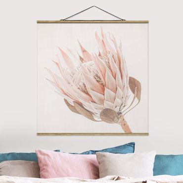 Plakat z wieszakiem - Protea Królowa kwiatów