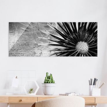 Obraz na szkle - Dandelion czarno-biały