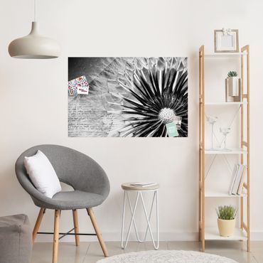 Obraz na szkle - Dandelion czarno-biały