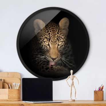Okrągły obraz w ramie - Resting Leopard