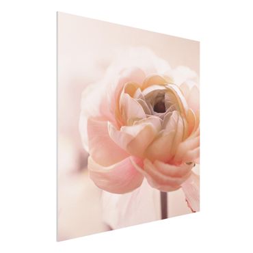 Obraz Forex - Różowy kwiat w centrum uwagi