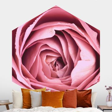 Sześciokątna tapeta samoprzylepna - Różowy kwiat róży