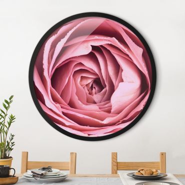 Okrągły obraz w ramie - Pink Rose Blossom