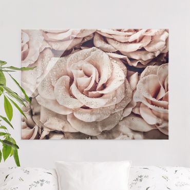Obraz na szkle - Róże w sepii z kroplami wody