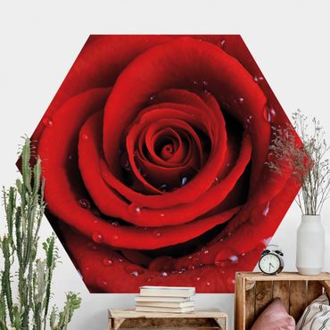 Sześciokątna tapeta samoprzylepna - Róża czerwona z kroplami wody