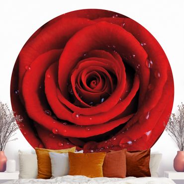 Okrągła tapeta samoprzylepna - Róża czerwona z kroplami wody