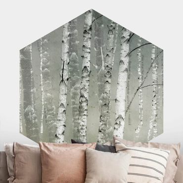 Sześciokątna tapeta samoprzylepna - Las brzozowy lęgowy