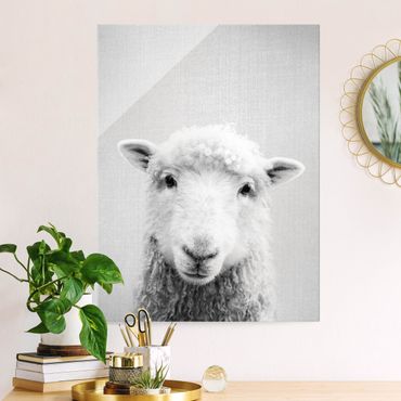 Obraz na szkle - Sheep Steffi Black And White