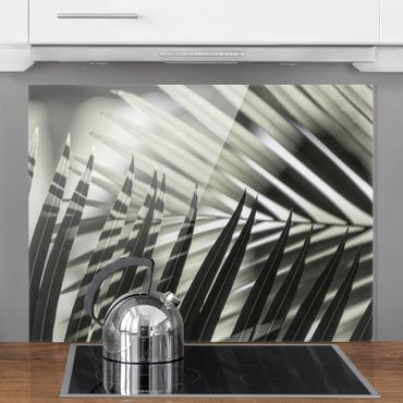 Panel szklany do kuchni - Gra cieni na liściu palmy