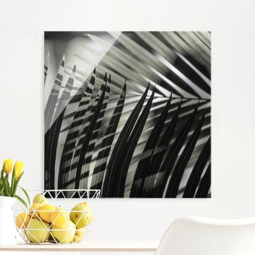 Obraz na szkle - Gra cieni na liściu palmy
