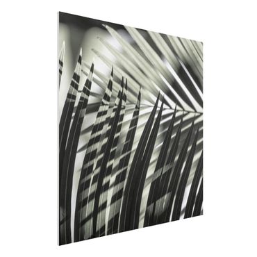 Obraz Forex - Gra cieni na liściu palmy