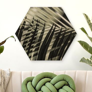 Obraz heksagonalny z drewna - Gra cieni na liściu palmy