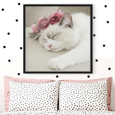 Plakat w ramie - Śpiący kot z różami